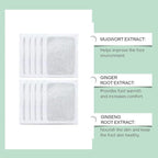 Herbal Detox Foot Pads(Pack of 2)