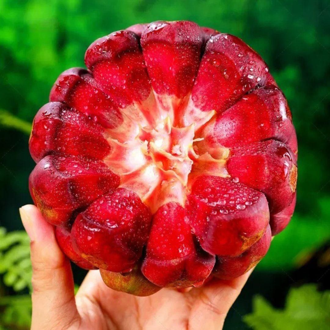 AI Devil Fruit Seeds PACK OF 2