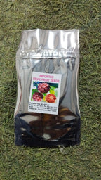 AI Devil Fruit Seeds PACK OF 2