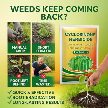 AI Cyclosinone Herbicide Granules and growth supplements(pack of 2)
